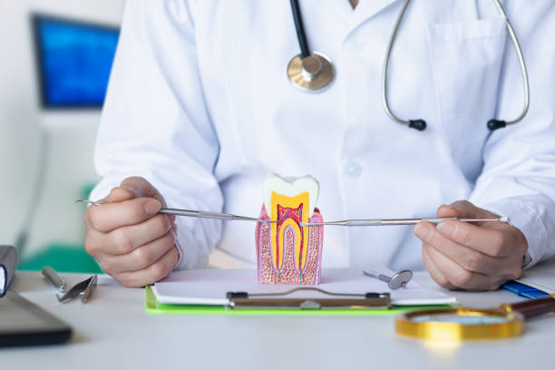 Best Broken or Chipped Tooth Repair in Ladd, IL